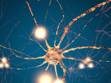 Desprogramação Neurobiológica